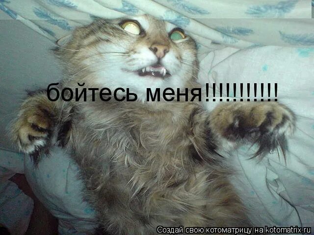 Ой боюсь. Открытки ой, боюсь-боюсь. Гифка ой боюсь боюсь. Ой боюсь ой боюсь. Боюсь боюсь боюсь песни из кинофильма.