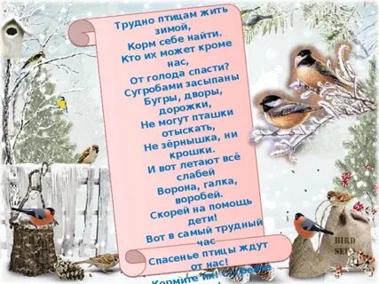 Трудно птицам зимой