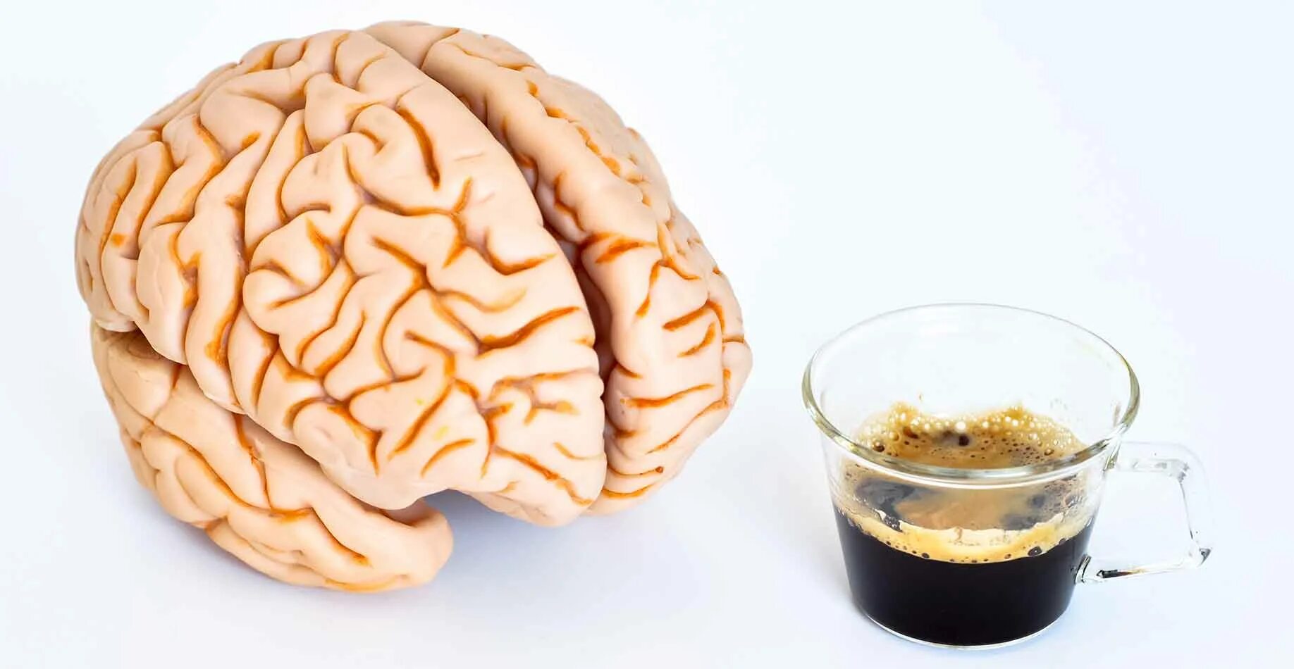 Кофе и мозг. Кофе и нервная система. Кофеин и мозг.