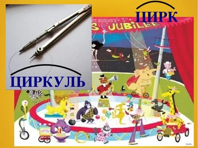 Что общего между циркулем и цирком. Что общего между циркулем и цирком
