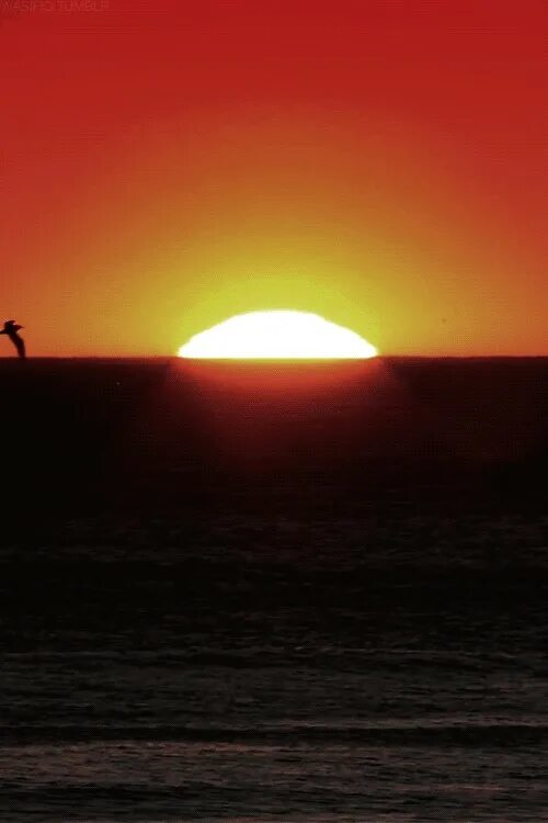 Солнце. Оранжевое небо. Солнце поднимается из за горизонта. Солнце поднимается из за горизонта. Солнце поднимается.