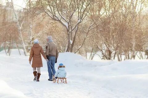 Прогулки февраль