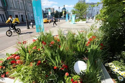 Выставка цветов в москве 2024 году