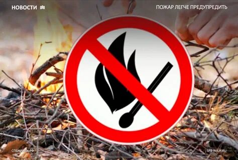 Установили противопожарный режим