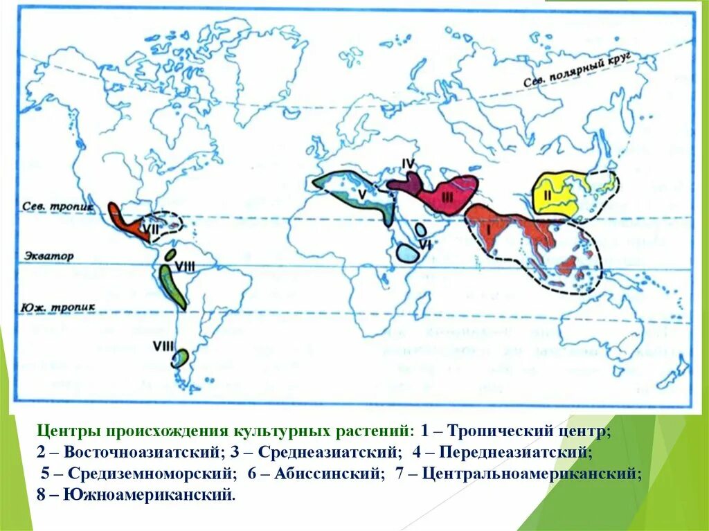 Юго западноазиатский центр происхождения культурных. Юго Западно азиатский центр происхождения культурных растений. Южноазиатский тропический центр происхождения культурных растений. Южноазиатский тропический центр происхождения растений растения. Китайско-японский центр происхождения культурных растений.