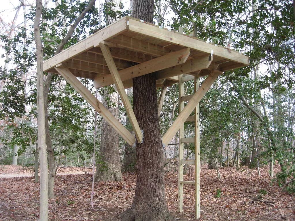 Make a tree house