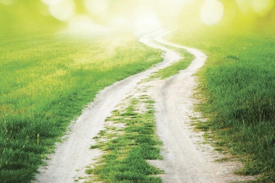 Зеленый свет жизни. Светлая дорога. Солнце на дороге. Солнечная дорога. Дорога к свету.