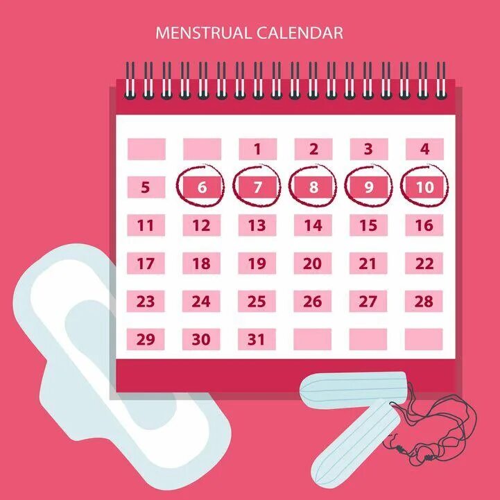 Месячные календарь. Календарь циклов менструационного цикла. Менструальный календарик. Календарик для месячных. Менструальный календарь менструальный календарь.