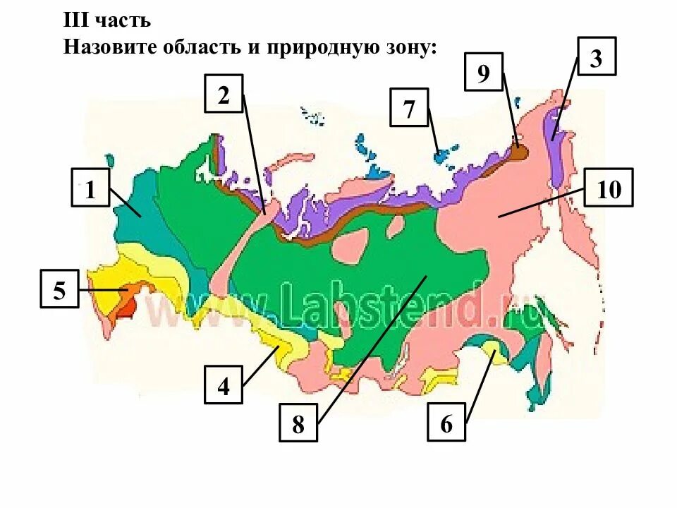 Самостоятельная работа по природным зонам 8 класс