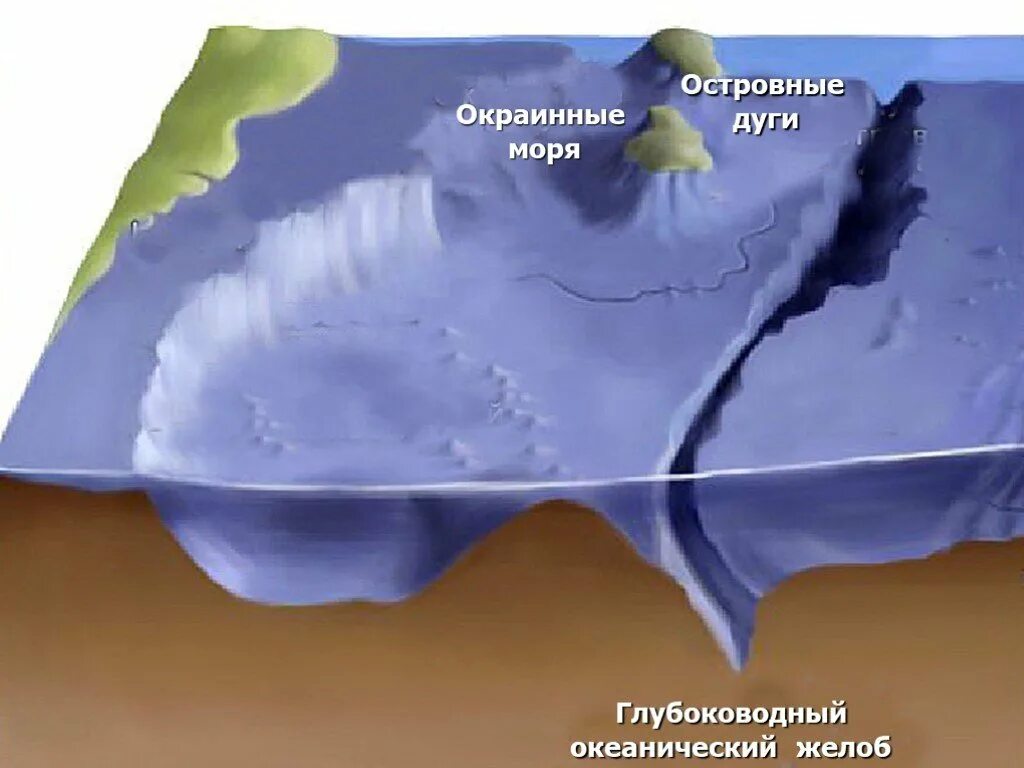 Дно океана география. Марианская впадина рельеф дна. Рельеф дна мирового океана. 5 География. Релеьф дна мировог оокеана. Глубоководные котловины окраинных морей..