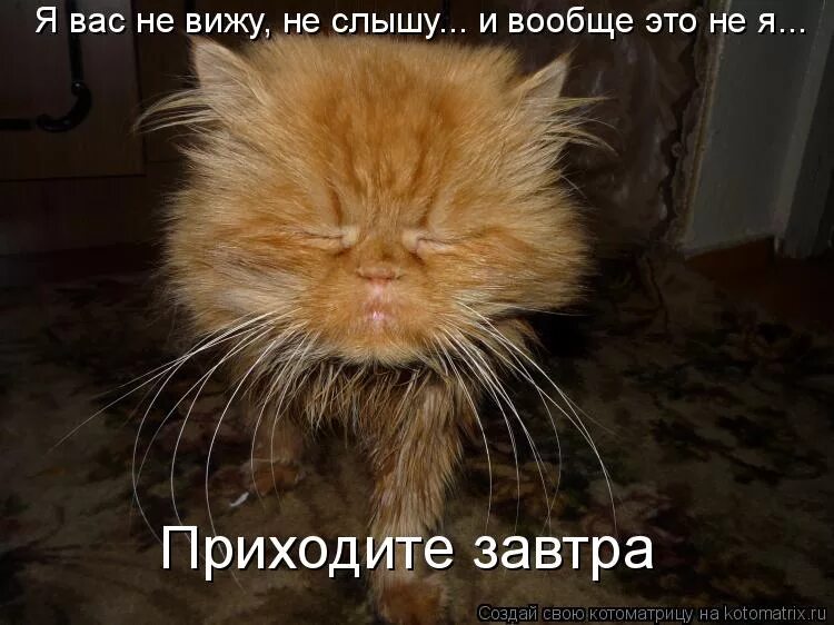 Не видим и не слышен. Не видим и не слышен