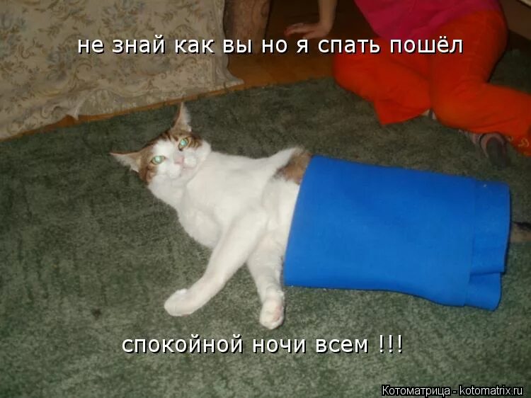 Я спать завтра на работу. Я спать завтра на работу. Да я спать пойду. Иди спать картинки прикольные. Ушел спать.