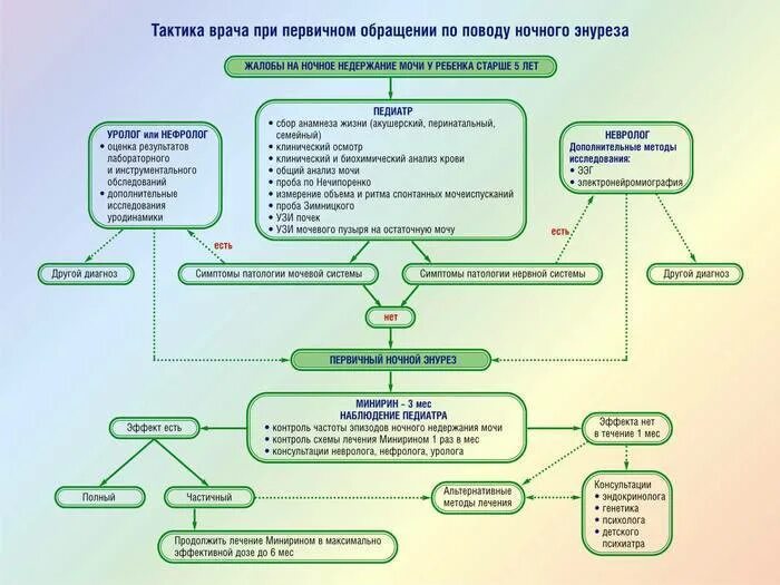 К врачу обратились родители ребенка. Схема лечения энуреза у детей. Обследование при энурезе. Тактика педиатра при первичном энурезе у детей. Диспансерное наблюдение энурез.