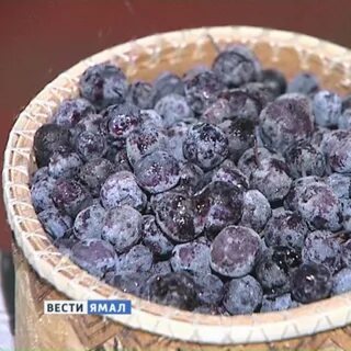Черничное беларусь