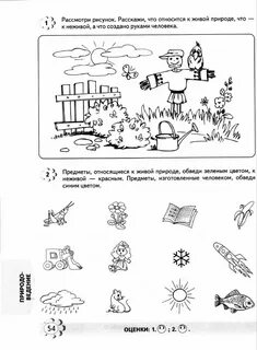 Задания живая и неживая природа 2 класс