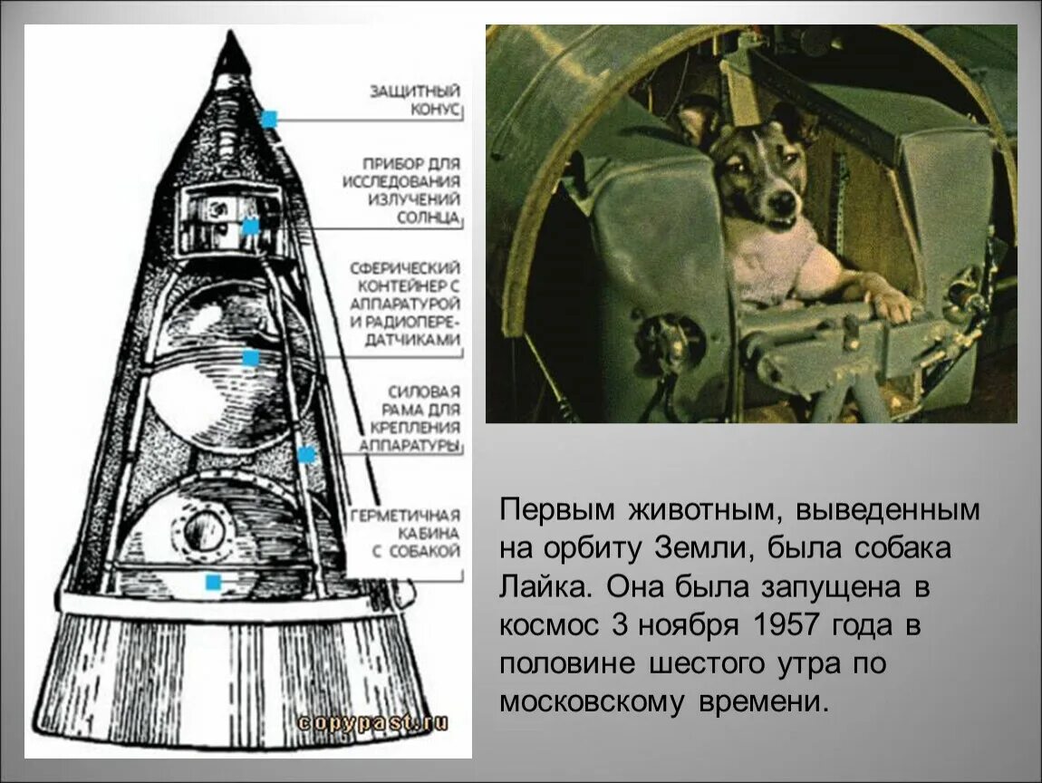 Первый полет на орбиту земли