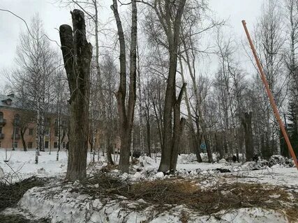 В кировском парке