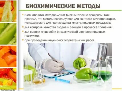Исследованные продукты