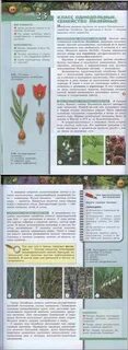 Биология 7 класс сухорукова