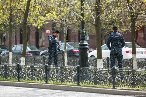 Прямой грозный санкт петербург