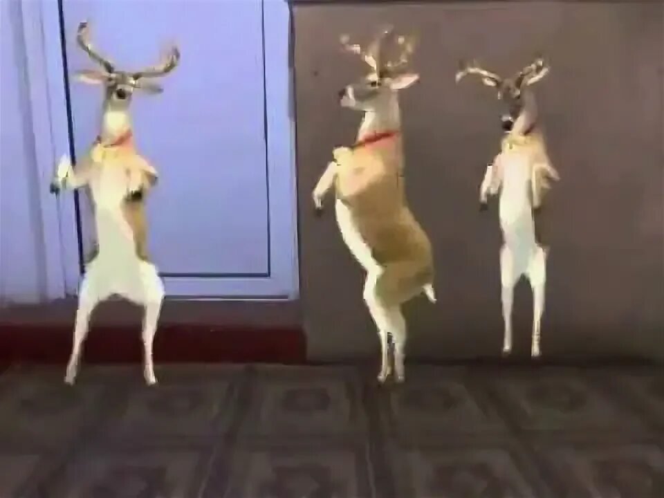 Свеча с танцующим оленями. Олень танцует. Deer dance system. Танцующий лось. Deer dance system.