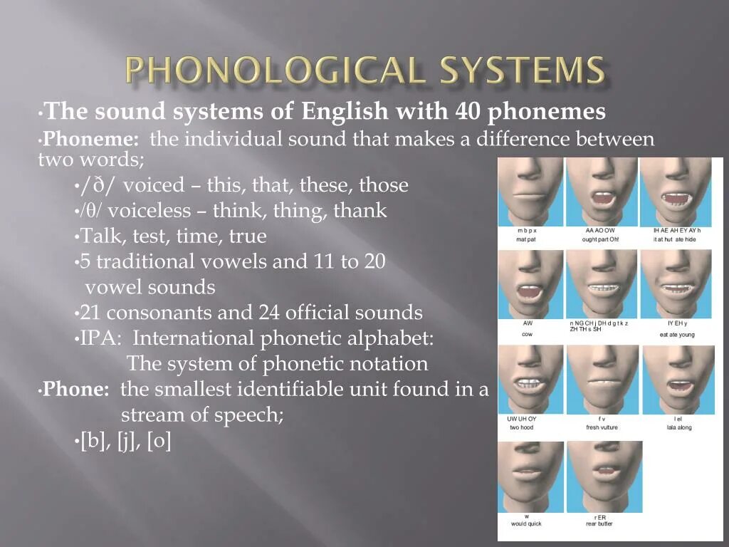 The system английский. System of English phonemes. Phonological System. The System of English phonemes презентация. The Phonological System of a language.
