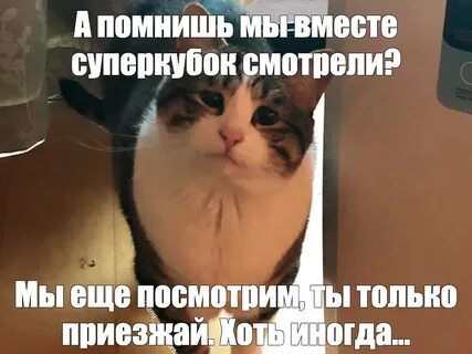 Не хотела тебя отвлекать