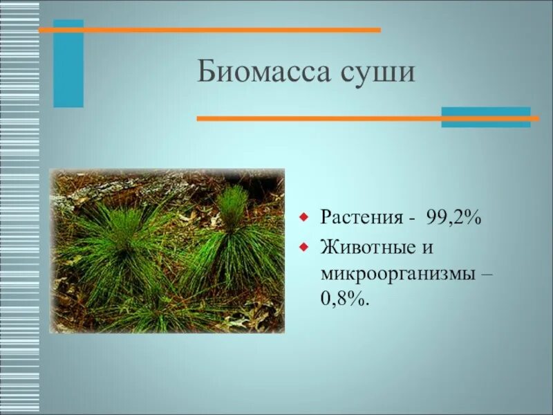 Биомасса суши. Растения обитатели суши. Биомасса растений. Биомасса растений суши. Сравните суммарную биомассу суши и океана