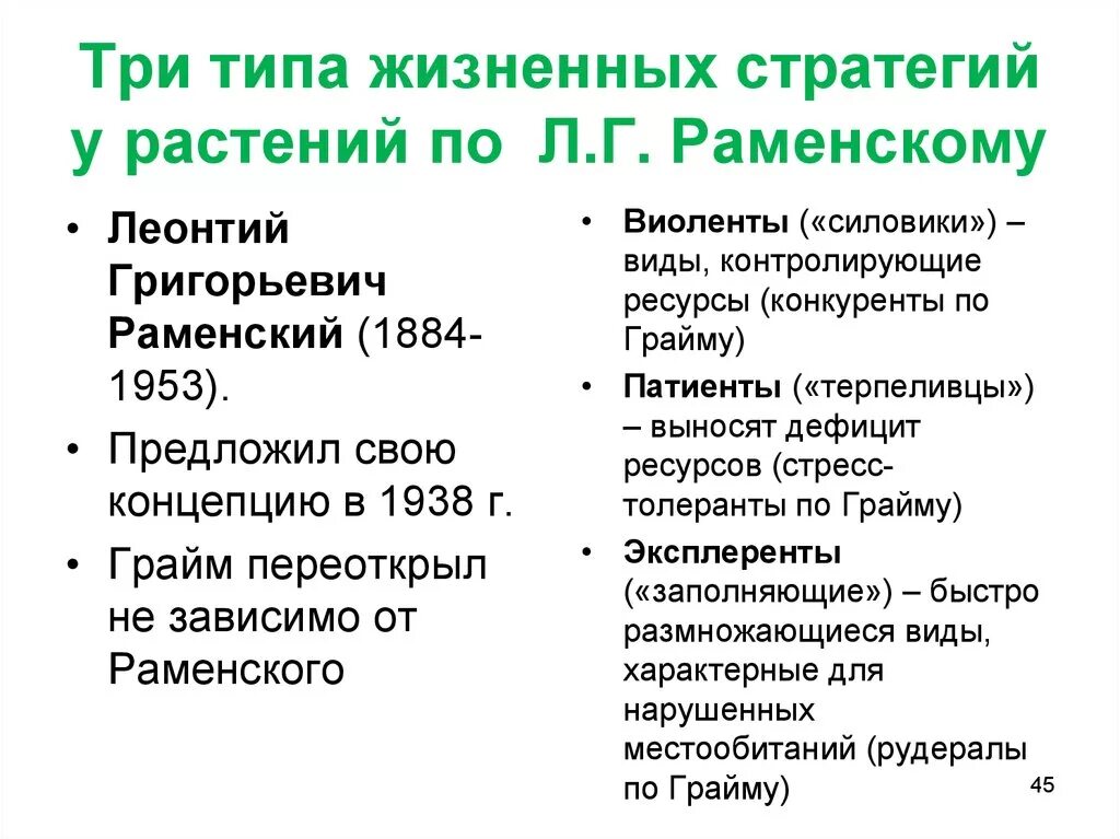 Жизненная стратегия определение