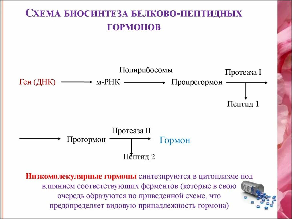 В процессе обмена гормоны