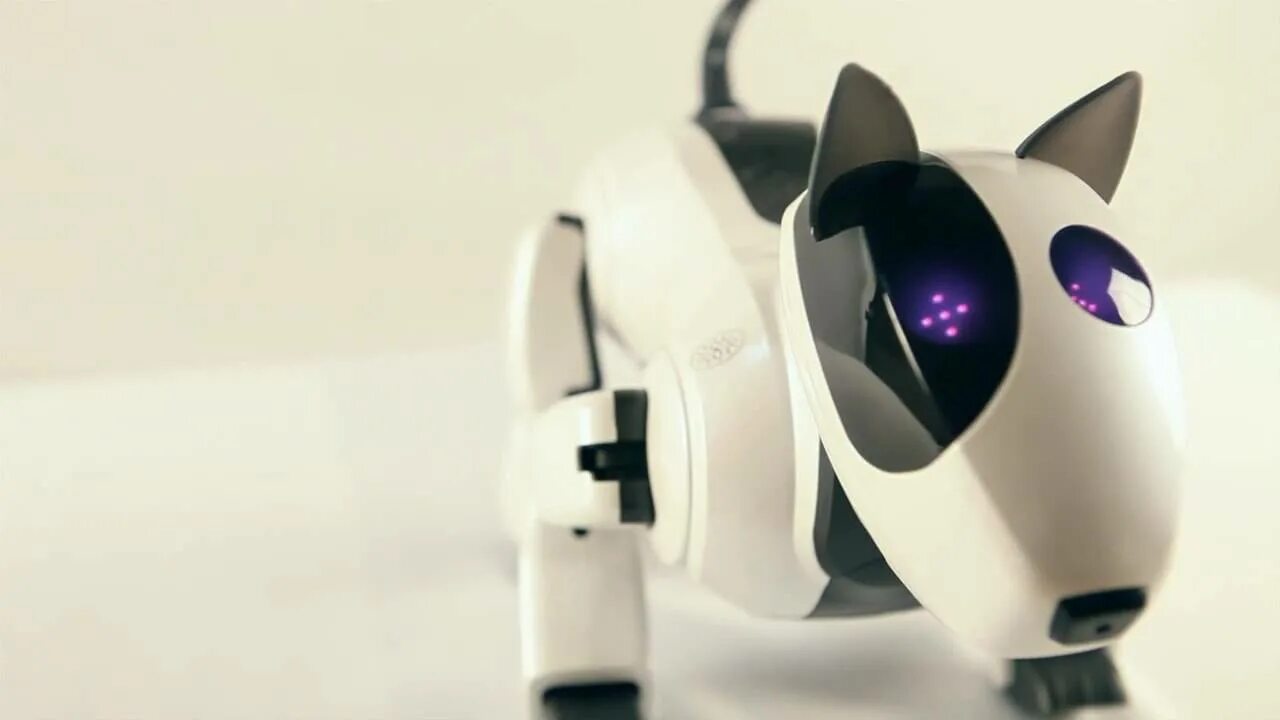 Робот пес Робопес. Робот щенок зуммер Aibo. Робопёс рекс. Робопёс 2023. Ai pet