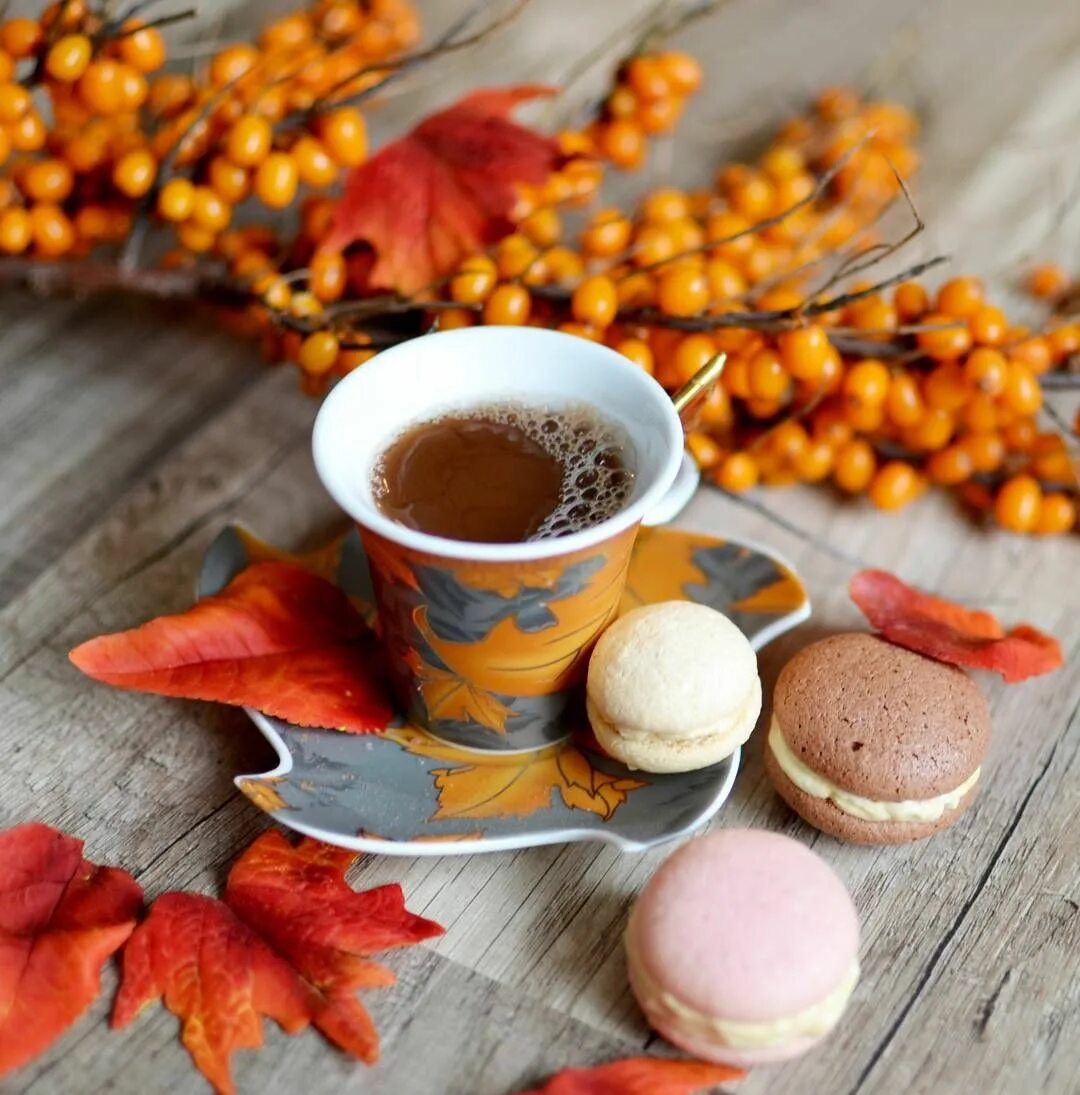 Утро осень. Доброе утро осень. Осенний кофе. Осень кофе.