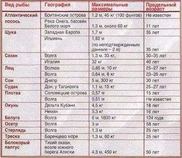 Сколько живут рыбы