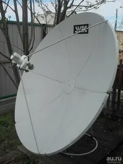 Свек