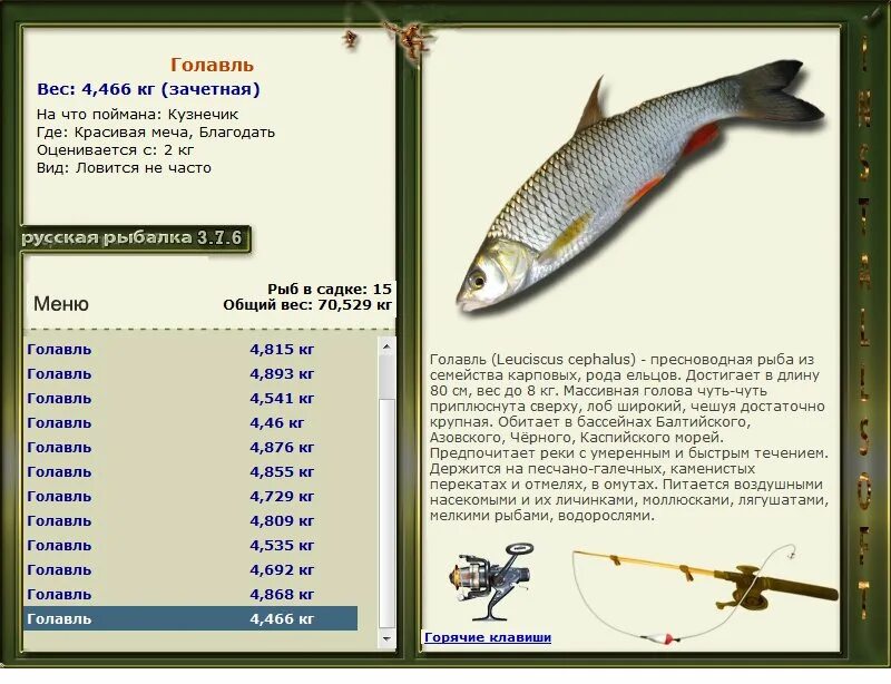 Рыба Азовского моря список. Русская рыбалка рыбы. Рыба в Азовском море названия. Рыба голавль вес. Русская рыбалка на что ловится