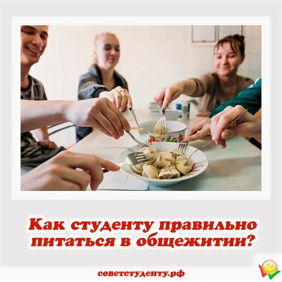 Обеспечение студентов питанием