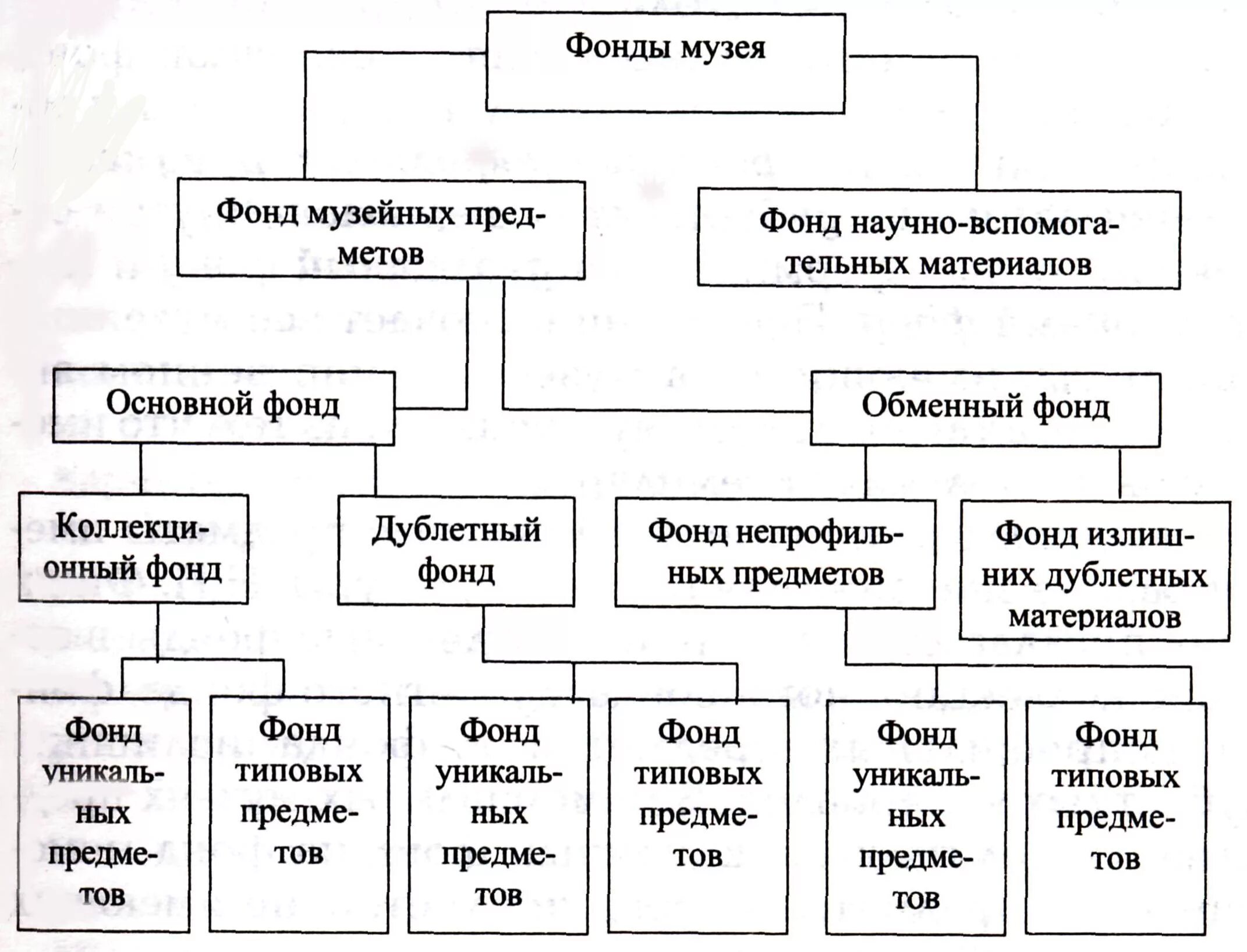 Структура фондов музея схема. Музей организационная структура музея. Состав музейных фондов. Фонды музея их состав и структура. Научные организации список