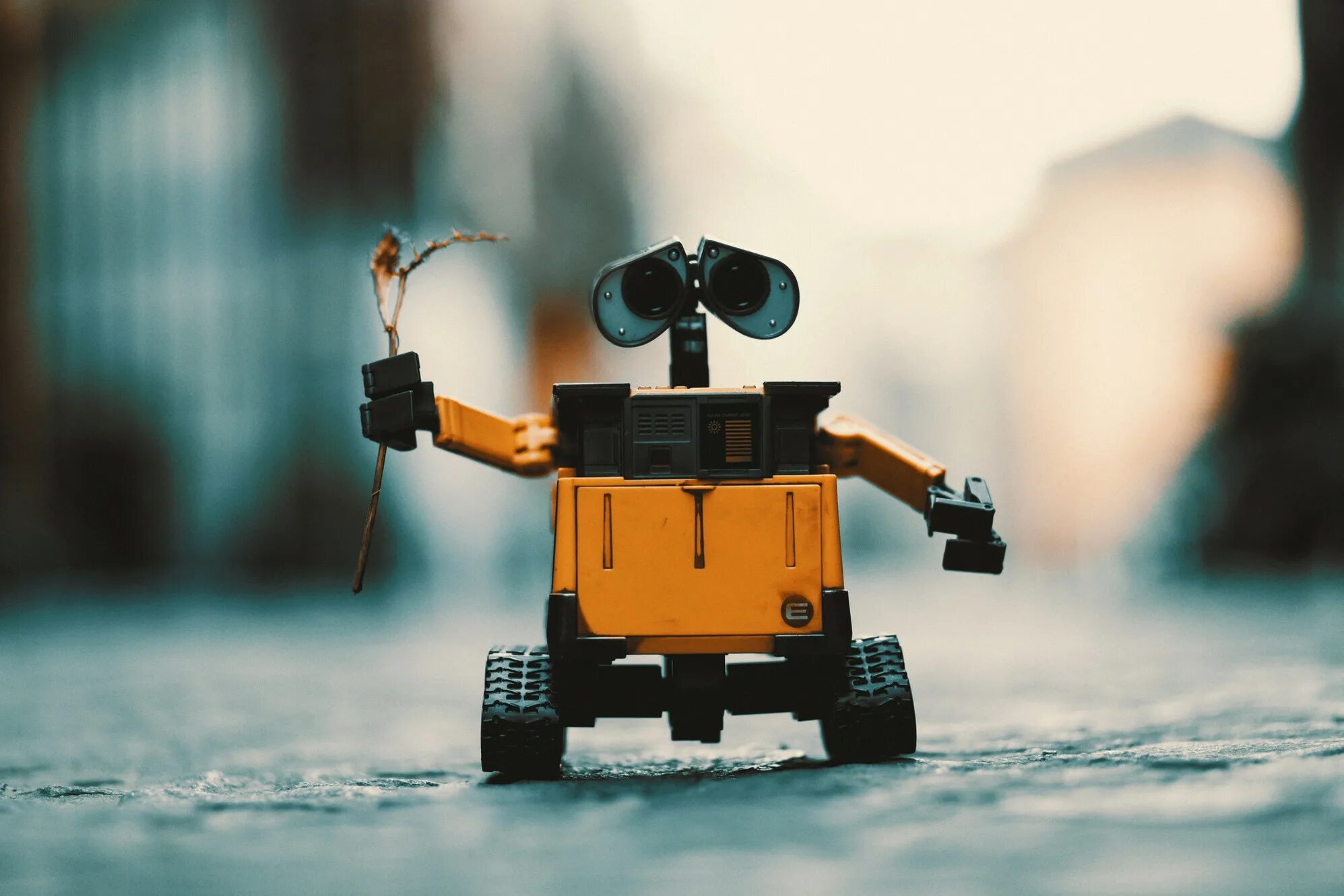 Robots wiki