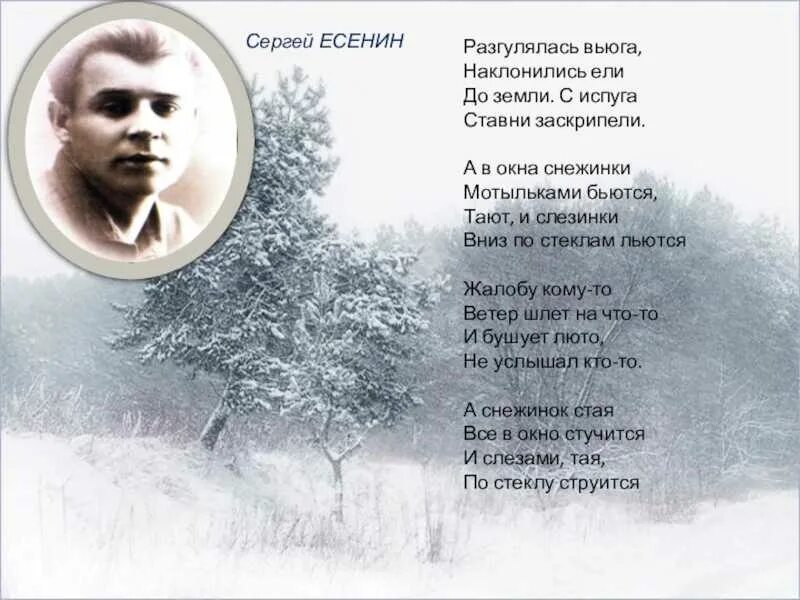 Стихотворение разгулялась вьюга Есенин. Стихи Есенина. Зимнее стихотворение есенина