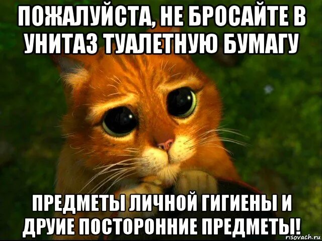 Кинь картинки. Не бросайте бумагу в унитаз. Табличка пожалуйста не бросайте в унитаз туалетную бумагу. Пожалуйста не кидайте бумагу в унитаз. Придерживайте пожалуйста дверь.