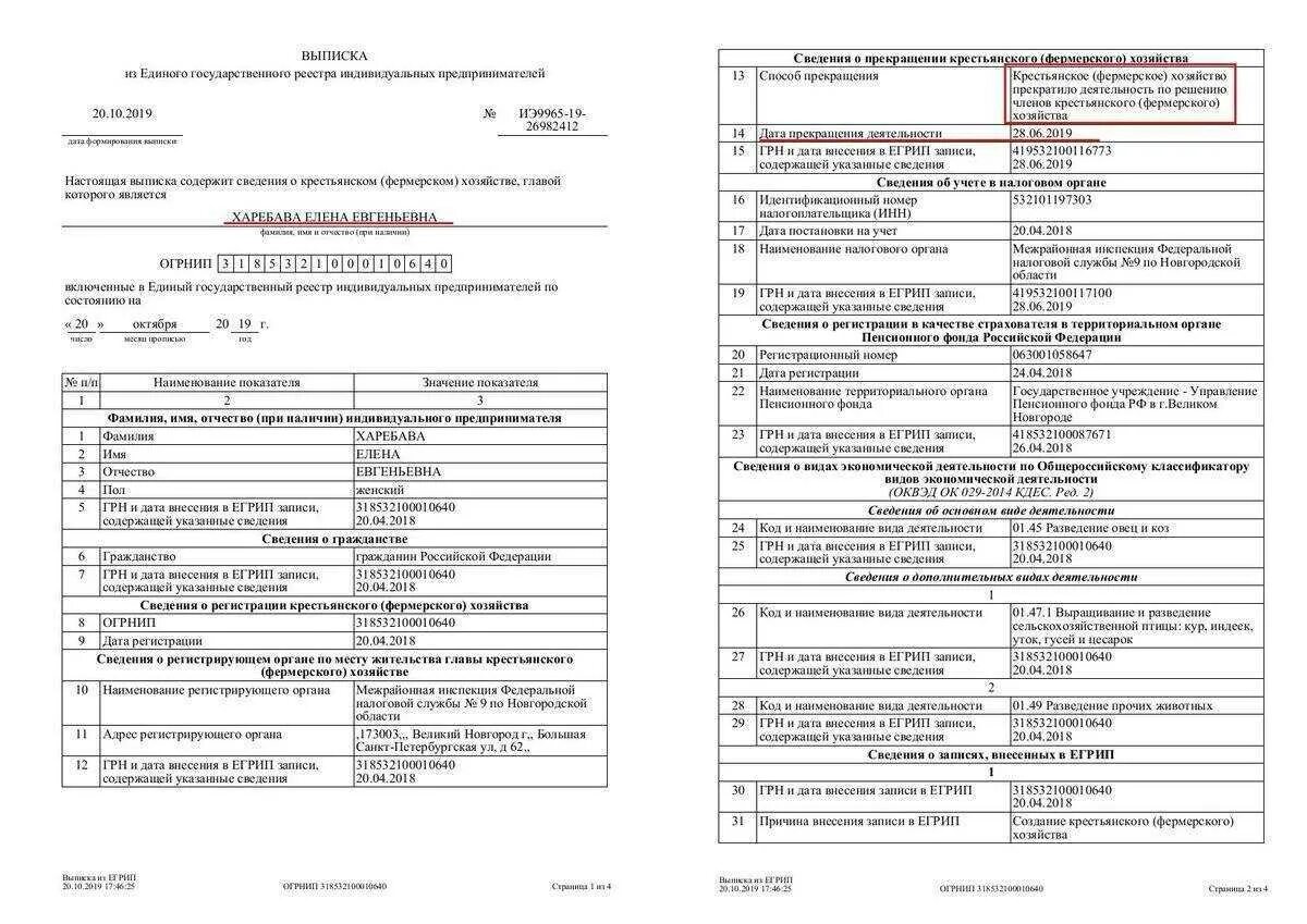 Сведения о государственной регистрации индивидуального предпринимателя