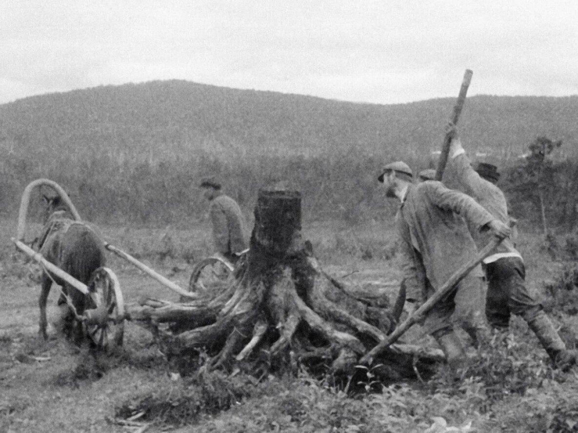 Поселенец в чужих местах. Крестьяне переселенцы Сибирь 19 век. Переселение крестьян на Дальний Восток. Дальний Восток 19 век переселение. Переселение крестьян на Дальний Восток в 19 веке.