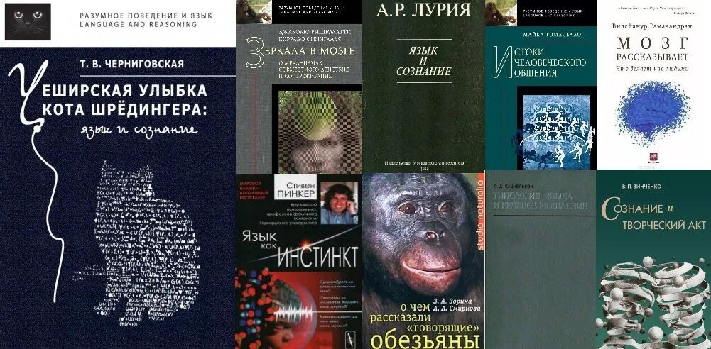 Черниговская книги купить. Чеширская улыбка кота Шредингера книга. Чеширская улыбка кота Шрёдингера: язык и сознание.