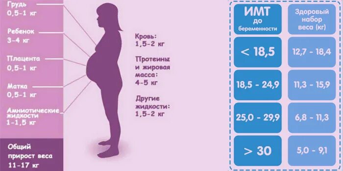 Масса 6 недель. Прибавка в весе при беременности по неделям норма таблица. Норма прибавки веса при беременности по неделям 2 триместр. Норма прибавки веса при беременности по месяцам. Норма набора веса при беременности по неделям таблица.