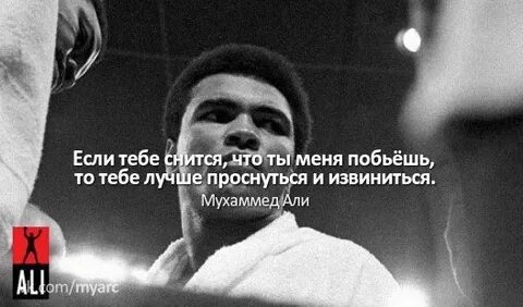 Встань и извинись
