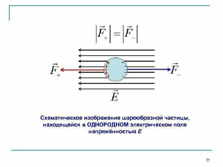 Вертикальное однородное электрическое поле. В однородном электрическом подн. Однородное электрическое поле. Схематическое изображение электрического поля. Изображено однородное электрическое поле.
