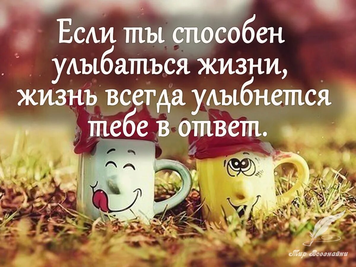 Улыбнись и жизнь улыбкой. Доброе утро позитивного настроения. Отличного дня и позитивного настроения. Открытки с добрым утром позитивные. Афоризмы про настроение.