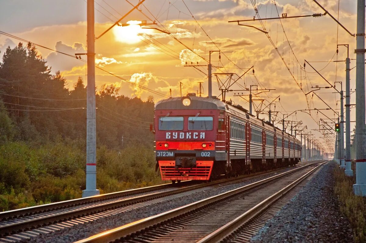 Железнодорожные профессии для детей. Железная дорога обж. Заброшенная железная дорога. Найди жд. Заброшенные рельсы.