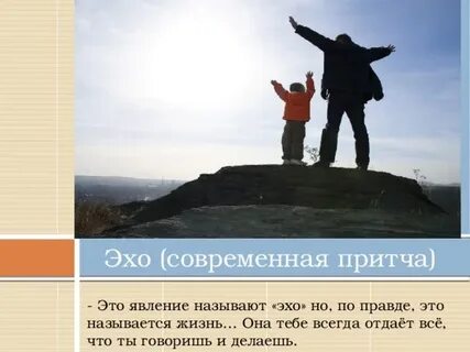 Эхо жизни