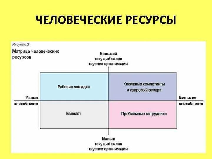 Как добавить людских ресурсов. Матрица ресурсов. человеческие ресурсы примеры. примеры людских ресурсов. человеческие ресурсы организации это.